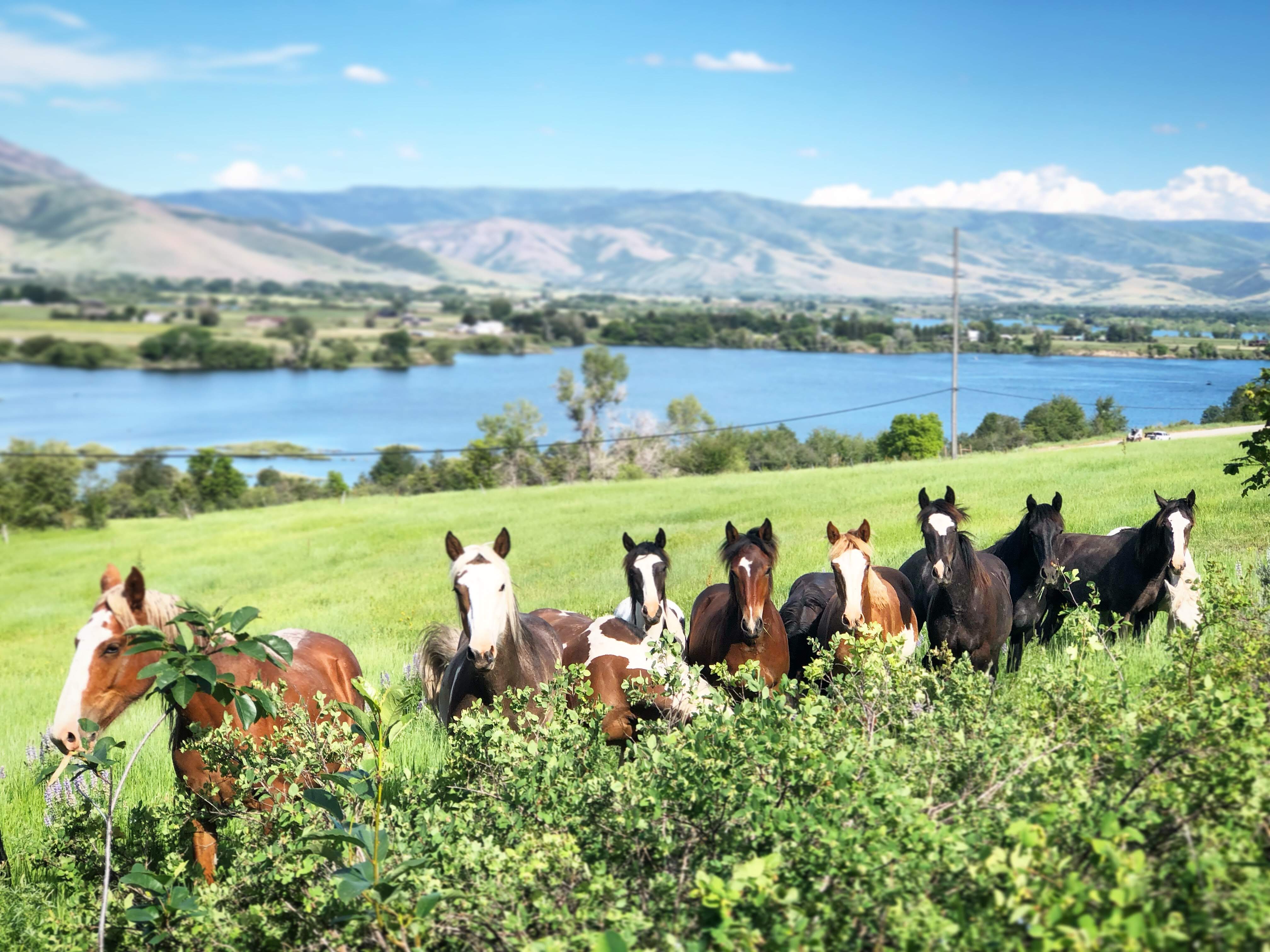 About Ogden Valley Smart Growth